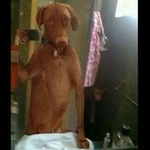 Profile Picture of Kyle Spaulding (@kyle.spaulding3) on Instagram