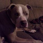 Profile Picture of Roxanne Campbell (@roxanne.campbell.526) on Instagram