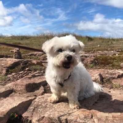 Profile Picture of Kevin Celis (@kevincelis123) on Twitter