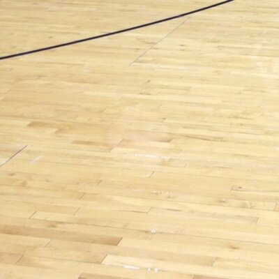 Profile Picture of Mitchell Nathan (@MitchellNathan) on Twitter