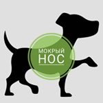 Profile Picture of 🐶Приют  