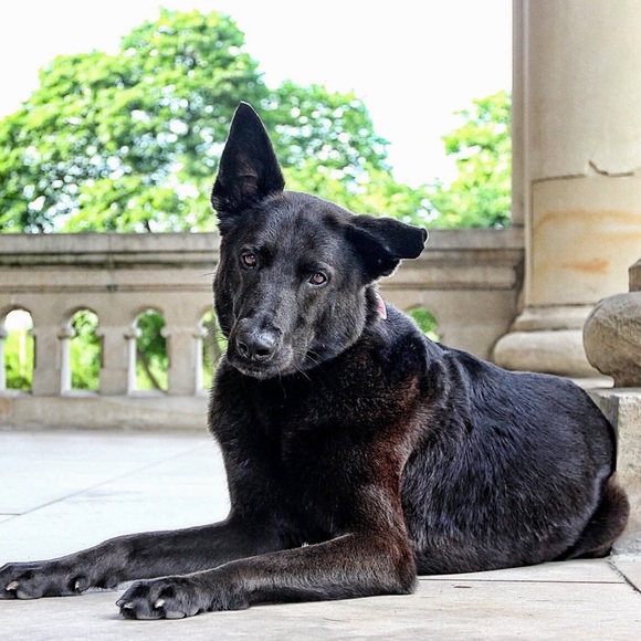 Profile Picture of Julia Bergen (@jberg91499) on Poshmark