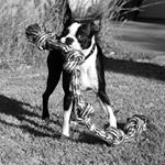 Ralph Brown - Instagram Profile Picture of Ralph Brown (@ralph.e.ray.brown) on Instagram