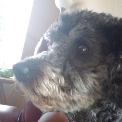 Profile Picture of Eric Womack (@EricWomack13) on Twitter