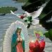 Profile Picture of Elba Gutierrez (@elba.gutierrez.5855594) on Facebook