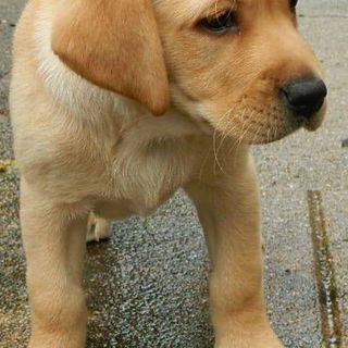 Bibi Watson - Facebook Profile Picture of Bibi Watson (@Bibi-Watson) on Facebook