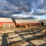 Profile Picture of Brian Farmer (@farmer9235) on Instagram