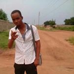 Profile Picture of Tony Ting (@ting2906) on Instagram