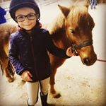 Profile Picture of Flavio Pinto (@dingo_schleich) on Instagram