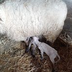 Profile Picture of Vanille Perrine (@stephanie.durand.16906715) on Facebook