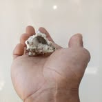 Ruben Balanon - Facebook Profile Picture of Ruben Balanon (@ruben.balanon.79) on Facebook