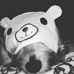 Profile Picture of Ruby (@rubywithachanceofsadie) on Instagram