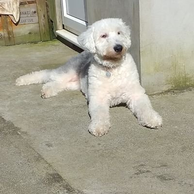 Profile Picture of Matthew Beaumont (@matthewbeaumo12) on Twitter