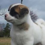 Profile Picture of Jonathan Richard Creighton (@socialmediasolutionz2) on Instagram