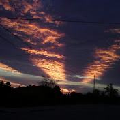 Profile Picture of Andrea Tamayo Macklis (@andytrujo) on Youtube