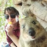 Profile Picture of Caleb Finley (@crfinleyiu) on Instagram