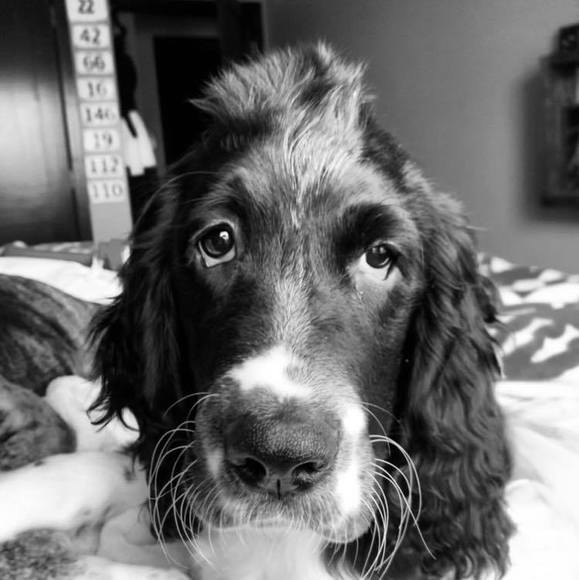 Profile Picture of Wendy Reister (@wendykr) on Poshmark