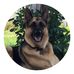 Profile Picture of Cheri McDonald (@cheri.mcdonald.79) on Facebook