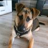 Profile Picture of Christina Schumacher (@@christinaschumach6) on Tiktok