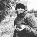 Profile Picture of Stephanie Jarvis (@pacific_truffle_growers) on Instagram