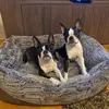 Profile Picture of PalkoDóri (@palkodori) on Tiktok