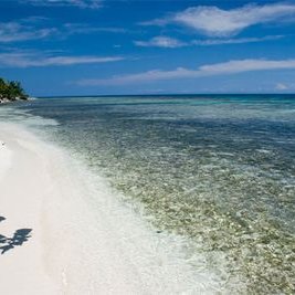 Profile Picture of Chris Nymanon Twitter