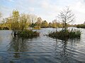 Profile Picture of Stocker's Lake - Wikipediaon Wikipedia