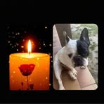 Profile Picture of Tchad Brunet (@Tchad-Brunet) on Facebook