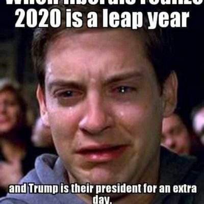 Profile Picture of Proud Boomer (@DanCart12336922) on Twitter