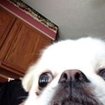 Profile Picture of Lawrence Keel (@lekeel) on Instagram