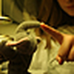 Profile Picture of Kmylife (@kmylife) on Flickr