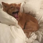 Profile Picture of Thank you God (@thomaschasewhitney) on Instagram