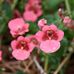 Profile Picture of Janet Wroblewski Shebel (@janet.shebel.5) on Facebook