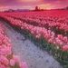Profile Picture of Waltraut Brüchmann (@wallybruechm) on Pinterest