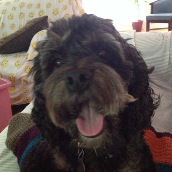 Profile Picture of Elizabeth Gilboy (@egilboy) on Poshmark