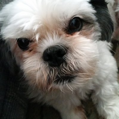 Profile Picture of Barry Macleod (@Barrymacleod5) on Twitter