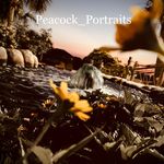 Profile Picture of Photogrpaher: Haley Capps (@peacock_portraits_) on Instagram