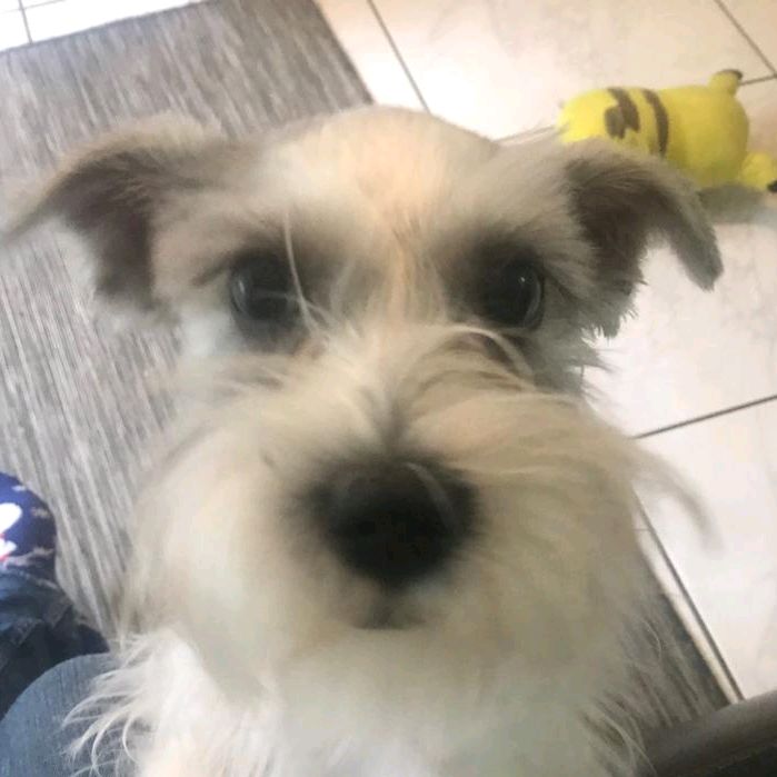 Profile Picture of Matthew Collado197 (@matthewcollado5) on Tiktok