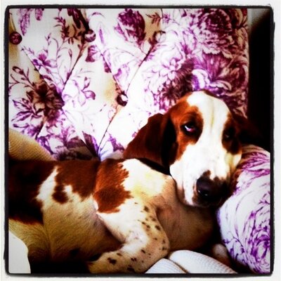 Profile Picture of Simon Keal (@keo1974) on Twitter