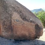 Profile Picture of Joe Täubner (@joetaeubner) on Instagram