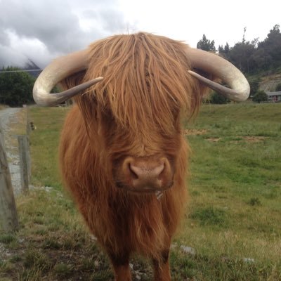 Benjamin Quek - Twitter Profile Picture of Benjamin Quek (@benjaminQuek) on Twitter