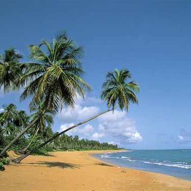 Katelynn Harris - Twitter Profile Picture of Katelynn Harris (@Katiee1809) on Twitter