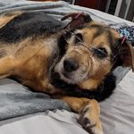 Profile Picture of Gary Branch (@branch.gary) on Instagram