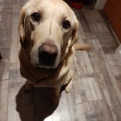 Profile Picture of Andy Oldfield (@OldfieldAndy) on Twitter