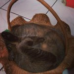 Profile Picture of Lupe Bennett (@sweetjadenlipsx) on Instagram