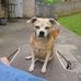 Profile Picture of Ken Harris (@ken.harris.581) on Facebook