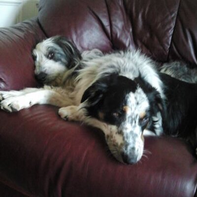 Profile Picture of Patrick J Harnett (@PatrickJHarnett) on Twitter