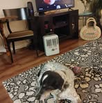 Profile Picture of Martha Crook (@martha.crook.10) on Facebook