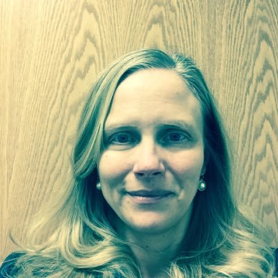 Profile Picture of Karen Mulvihill (@klauren1) on Twitter