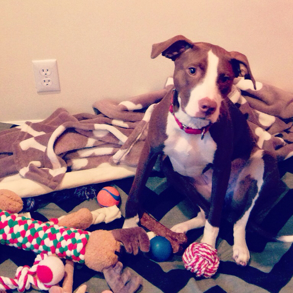 Profile Picture of Amy Jacabacci (@amyct217) on Poshmark